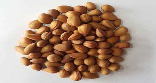 خرید و فروش بادام تلخ ریز با شرایط فوق العاده